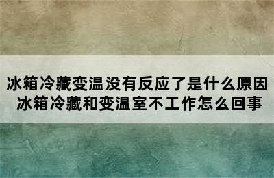 冰箱冷藏变温没有反应了是什么原因 冰箱冷藏和变温室不工作怎么回事